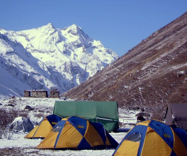 himalayangorilla_Chomolhari_base_camp0-o7ghqmvhj363vwbgumq9uo8n0vy9eabc4dzbdthcaw